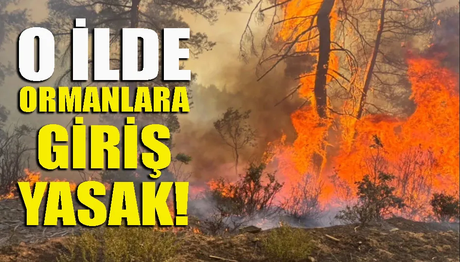 O ilde ormanlara giriş yasak!