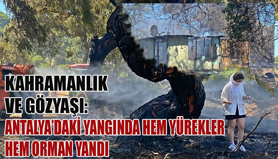Kahramanlık ve gözyaşı: Antalya’daki yangında hem yürekler hem orman yandı