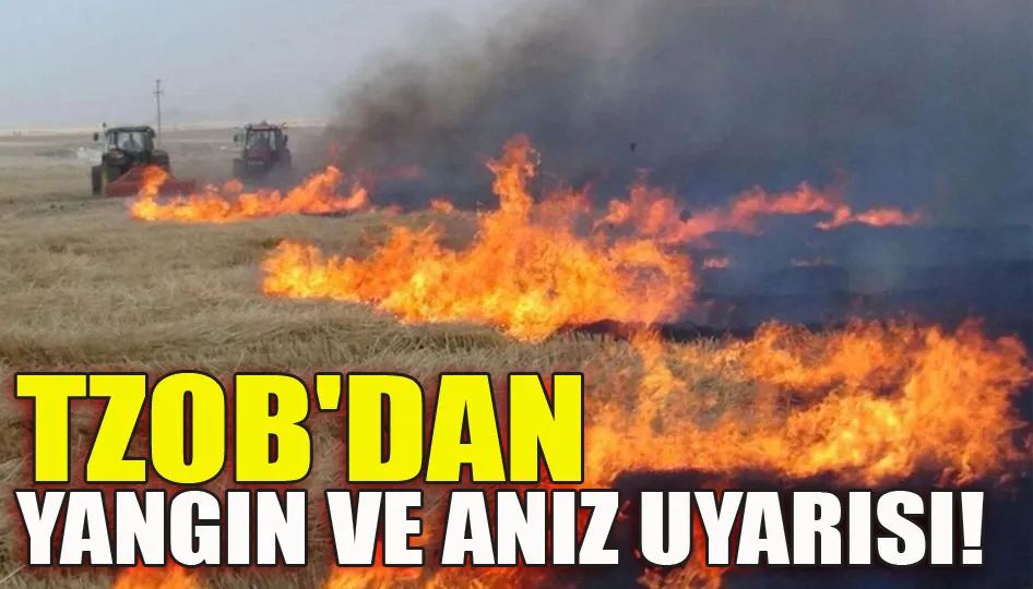 TZOB