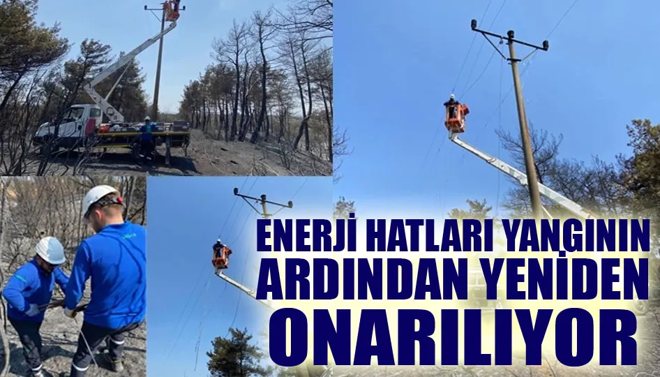 Enerji hatları yangının ardından yeniden onarılıyor