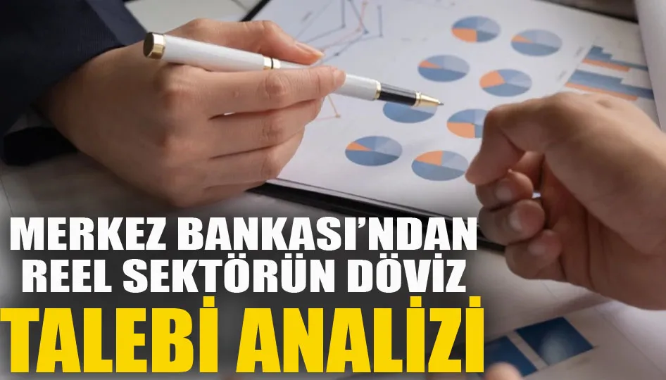 Merkez Bankası’ndan reel sektörün döviz talebi analizi