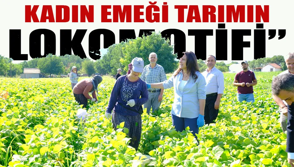 Kadın emeği tarımın lokomotifi”
