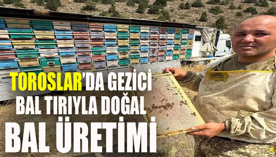 Toroslar’da gezici bal tırıyla doğal bal üretimi