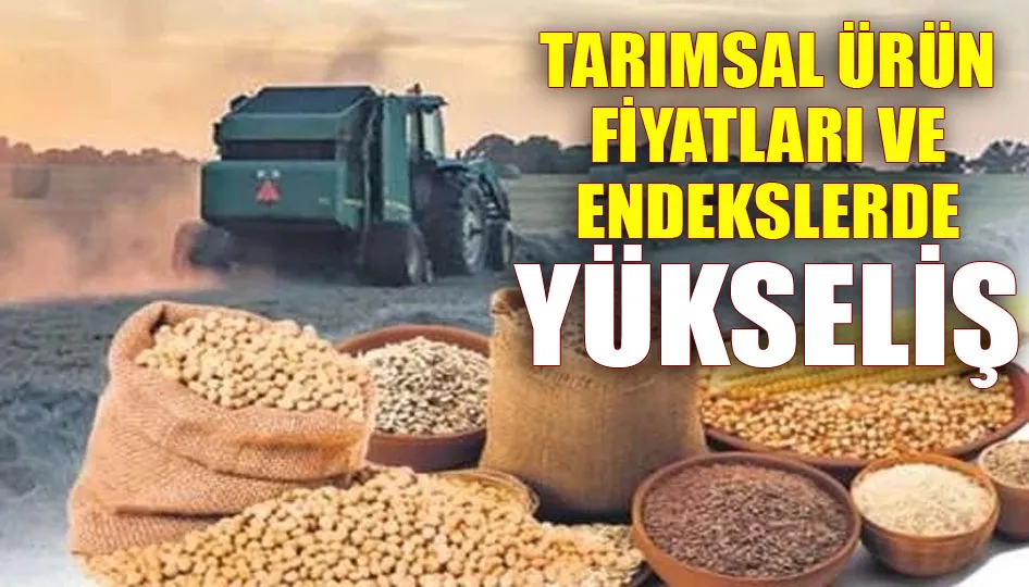 Tarımsal ürün fiyatları ve endekslerde yükseliş