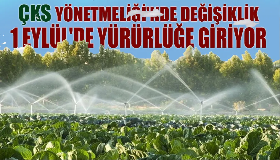 ÇKS Yönetmeliği