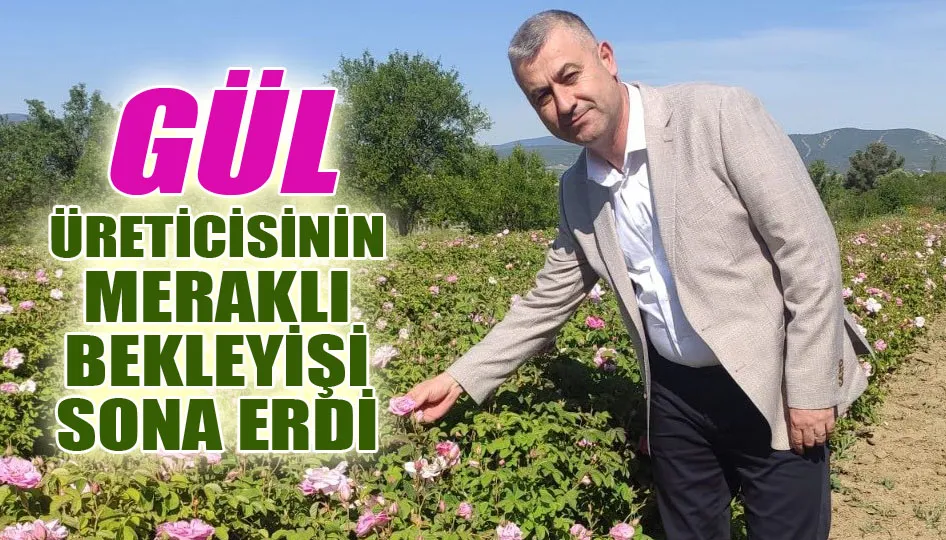 Gül üreticisinin meraklı bekleyişi sona erdi
