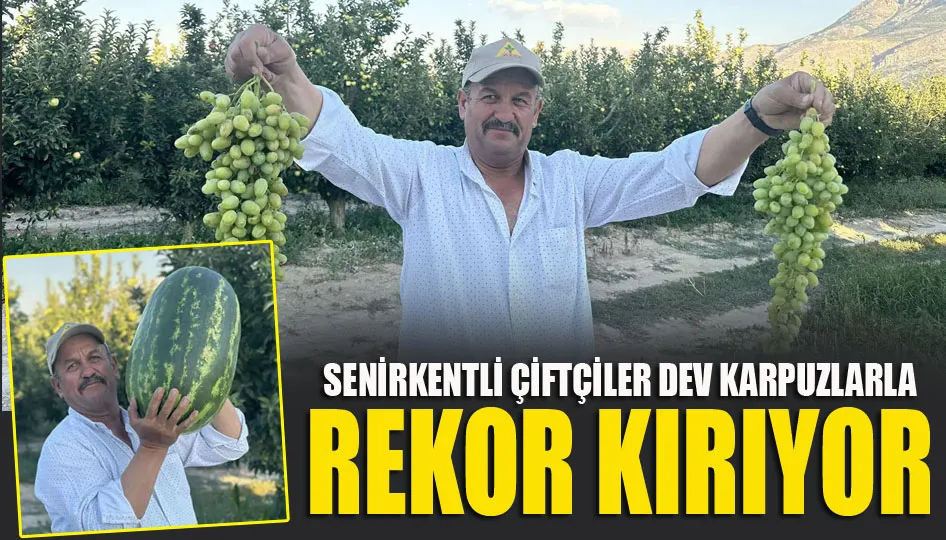 Senirkentli çiftçiler dev karpuzlarla rekor kırıyor
