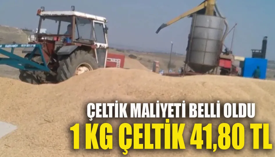 Çeltik maliyeti belli oldu... 1 kg çeltik 41,80 TL
