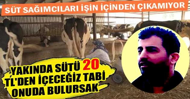 YAKINDA SÜTÜ 20 TL