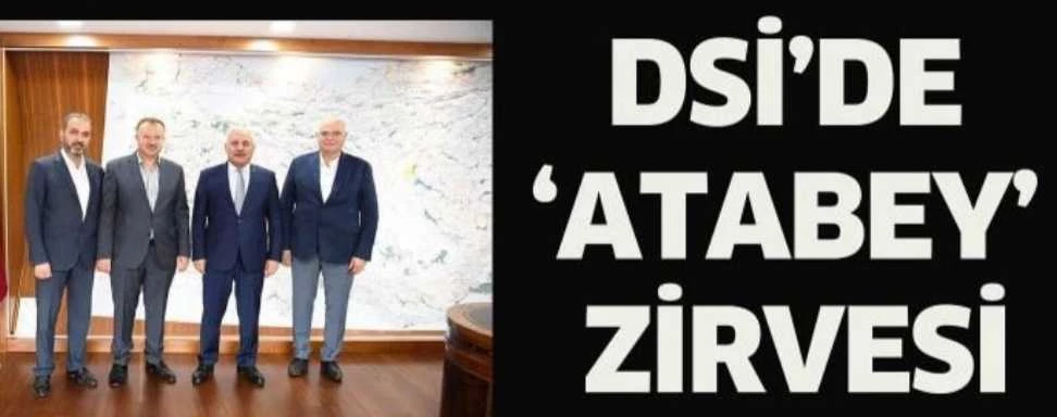 ANKARA DSİ