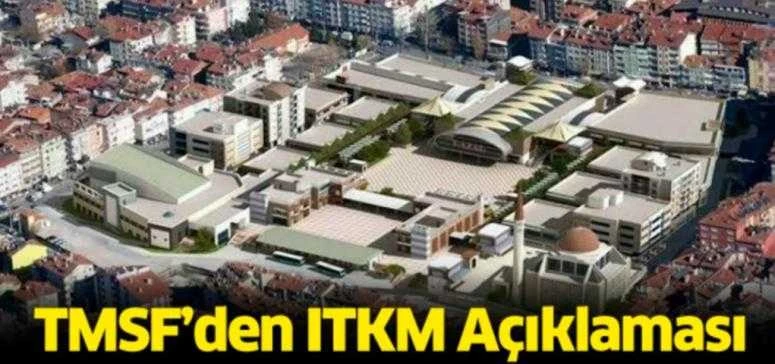 TMSF