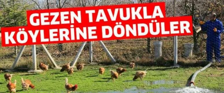 GEZEN TAVUKLA KÖYLERİNE DÖNDÜLER