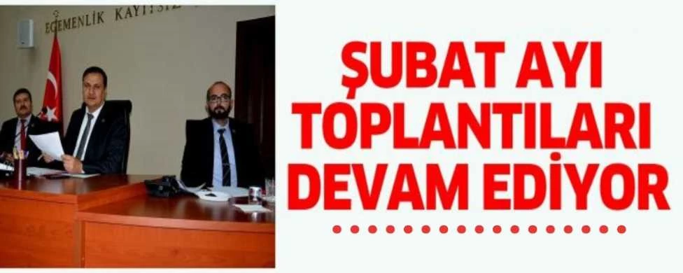 İL GENEL MECLİSİNDE ŞUBAT AYI TOPLANTILARI DEVAM EDİYOR
