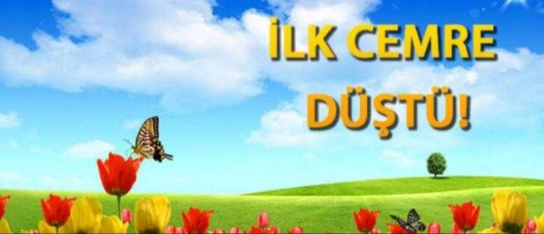 İlk Cemre Düştü