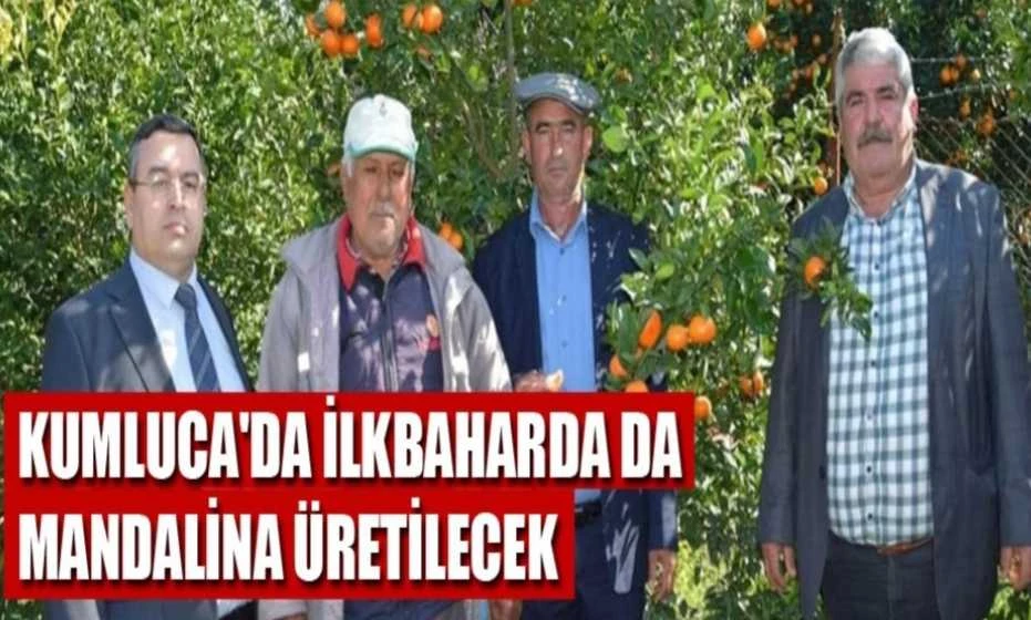 Kumluca