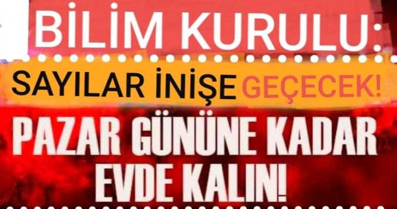 Bilim Kurulu