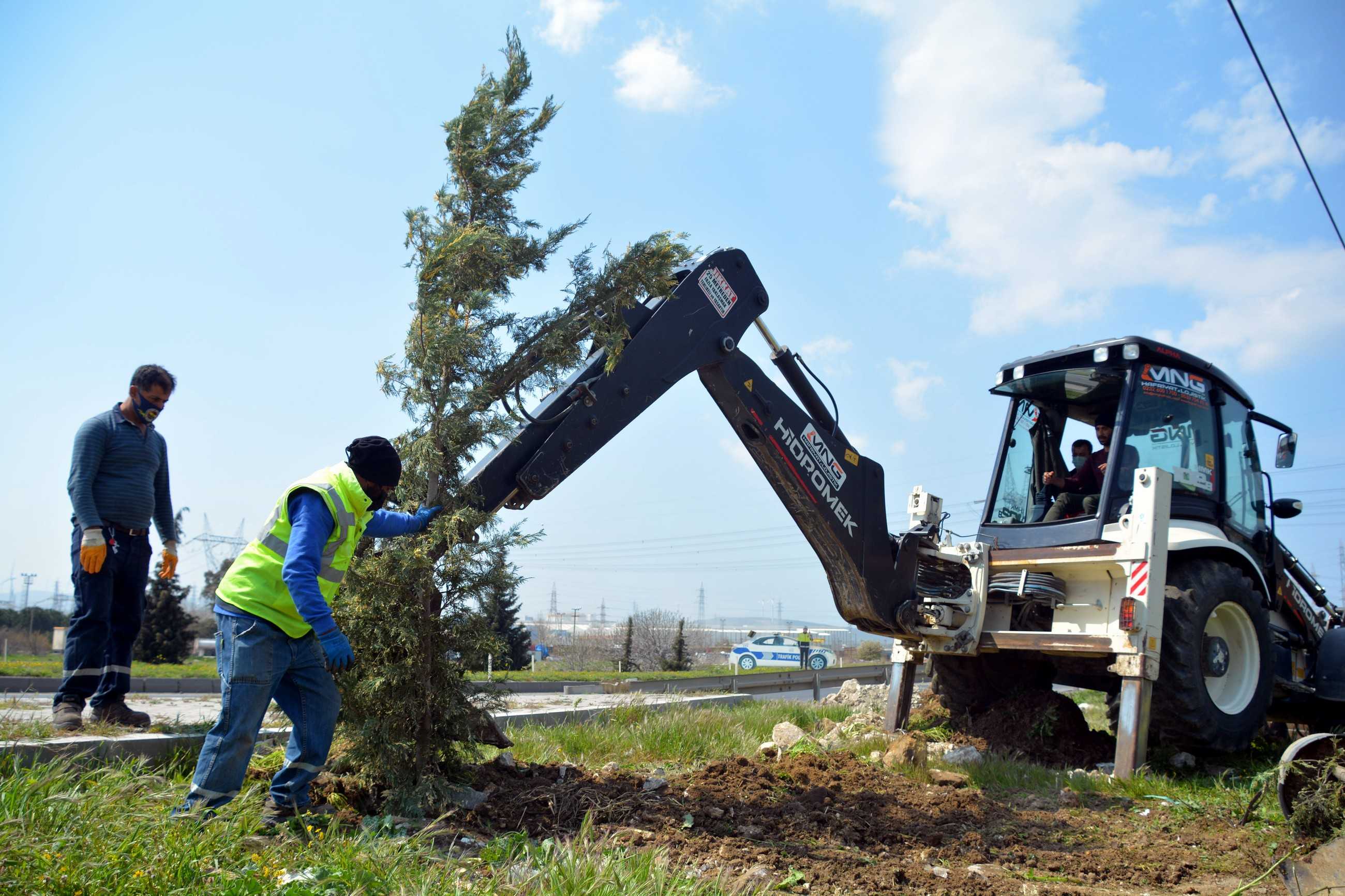 İzmir Aliağada yol kenarları ağaçlandırılıyor