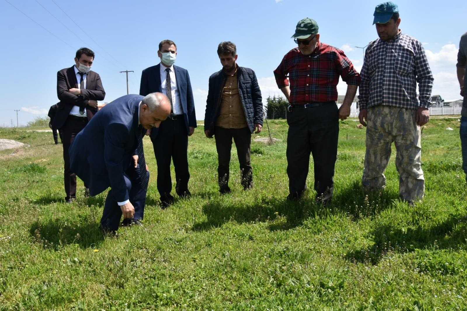 Yenişehir Belediyesinden çiftçilere destek