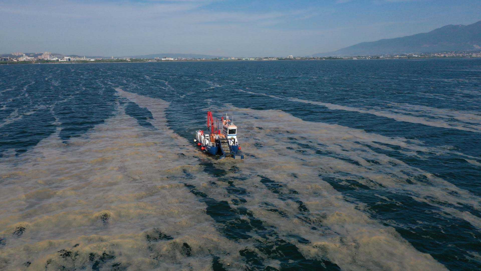 Marmara Denizi’nde yeni tehlike!