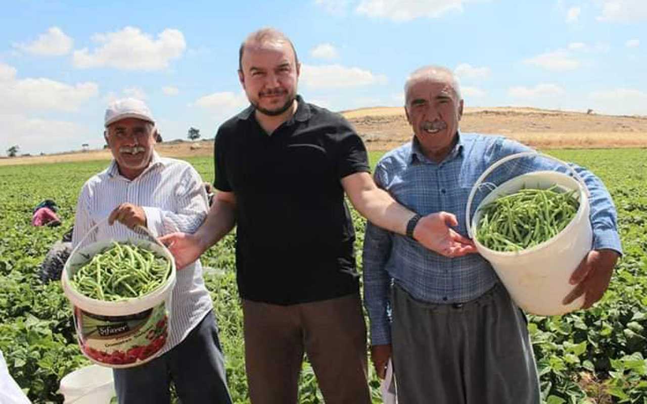 Kilis Ziraat Odası’ndan Uzunlu Köyü’nde organik ürün hasadı