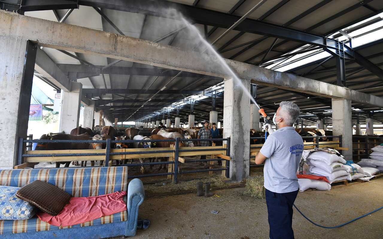 Bursa Osmangazi’de hayvan satış yerlerinde karasinek ilaçlaması