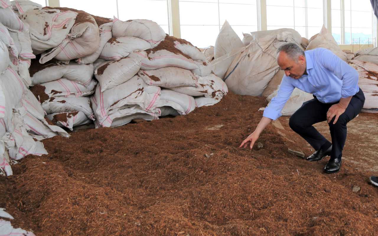 Rize’de çay çöpünden mangal kömürü üretilecek