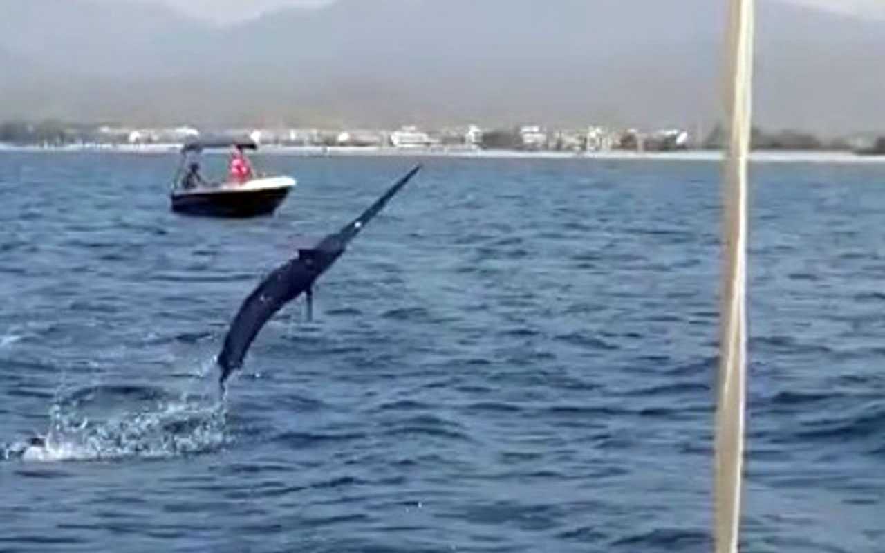 Muğla Fethiye’de oltasına 3 metrelik Kılıç balığı takıldı