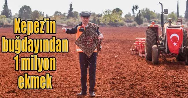 Kepez’in buğdayından 1 milyon ekmek