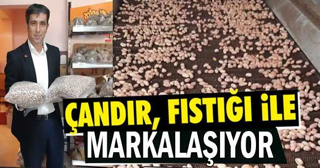 ÇANDIR, FISTIĞI İLE MARKALAŞIYOR