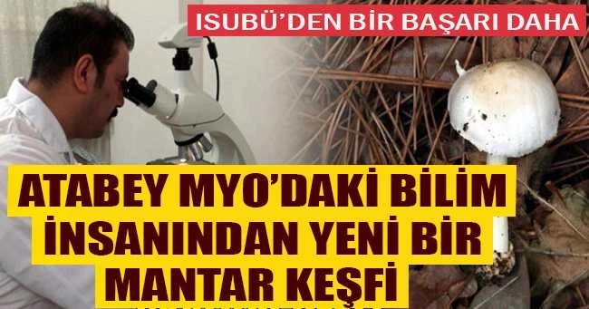 ATABEY MYO’DAKİ BİLİM İNSANINDAN YENİ BİR MANTAR KEŞFİ