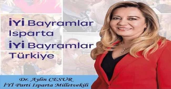 Milletvekili Cesur
