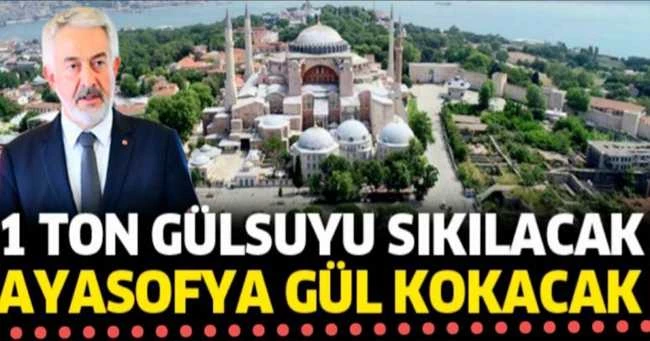 AYASOFYA ISPARTA GÜLÜ KOKACAK