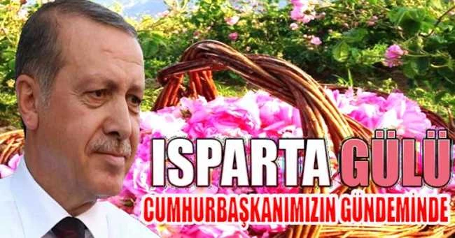 ISPARTA GÜLÜ CUMHURBAŞKANIN GÜNDEMİNDE
