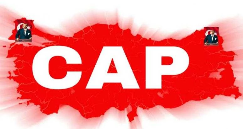 CUMHURİYET ADALET PARTİSİ KURULDU