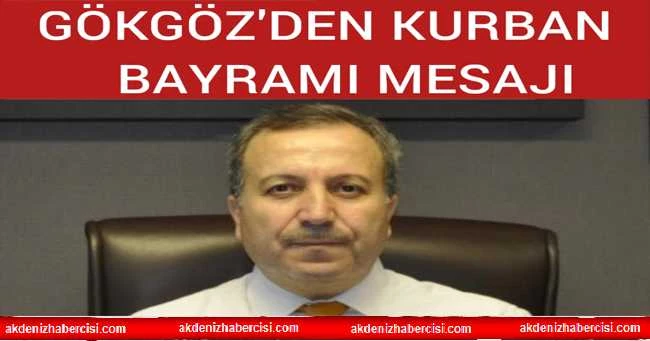 MİLLETVEKİLİ GÖKGÖZ