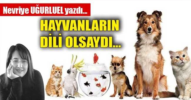HAYVANLARIN DİLİ OLSAYDI…