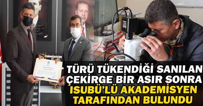 Türü Tükendiği Sanılan Çekirge Bir Asır Sonra ISUBÜ’lü Akademisyen Tarafından Bulundu