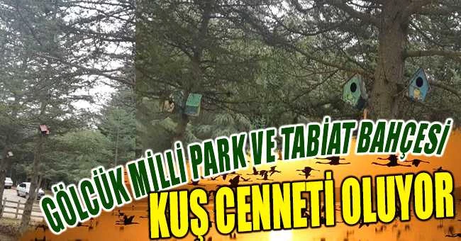 Gölcük Tabiat Parkı Kuş Cenneti oluyor