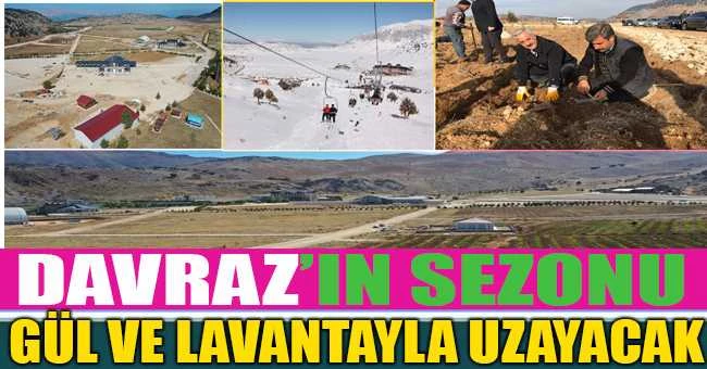 DAVRAZ’IN SEZONU GÜL VE LAVANTAYLA UZAYACAK