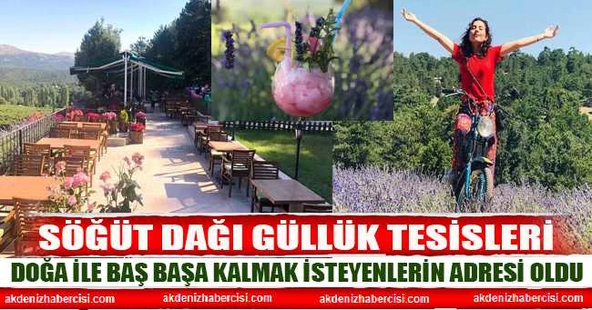 SÖĞÜT DAĞI GÜLLÜK TESİSLERİ DOĞA İLE BAŞ BAŞA KALMAK İSTEYENLERİN ADRESİ OLDU