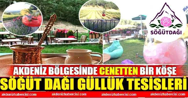 SÖĞÜT DAĞI GÜLLÜK TESİSLERİ AKDENİZ BÖLGESİNE ÖNEMLİ BİR TURİZM BÖLGESİ