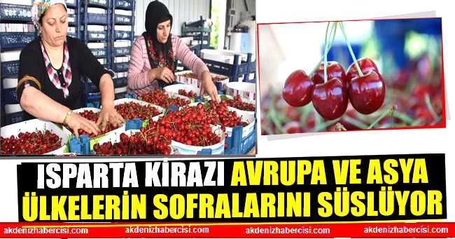 ISPARTA KİRAZI AVRUPA VE ASYA ÜLKELERİN SOFRALARINI SÜSLÜYOR