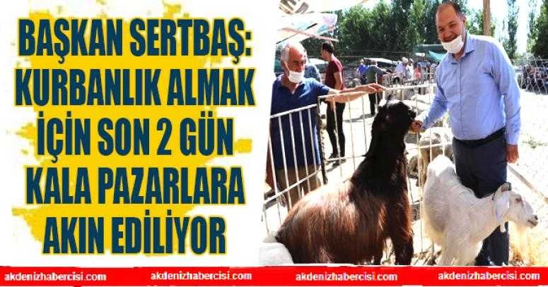 BAŞKAN SERTBAŞ: KURBANLIK ALMAK İÇİN SON 2 GÜN KALA PAZARLARA AKIN EDİLİYOR