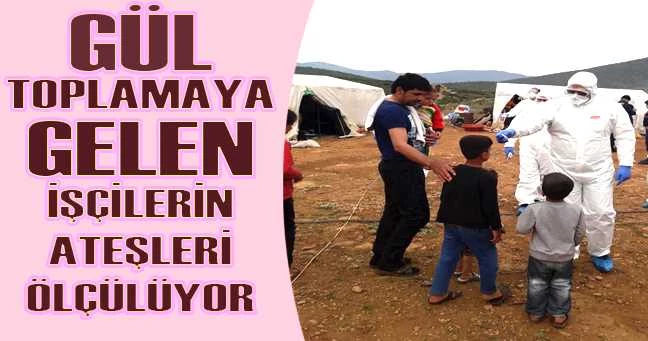 Isparta