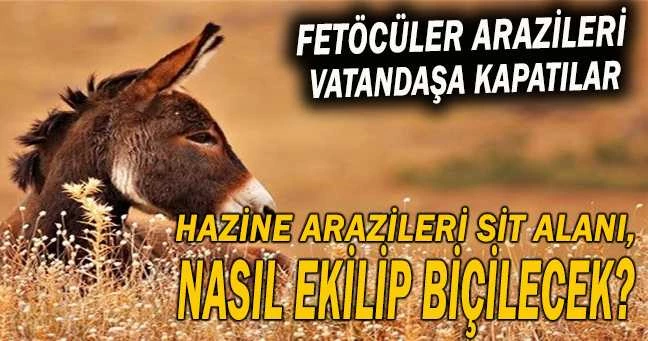 HAZİNE ARAZİLERİ SİT ALANI NASIL EKİLİP BİÇİLECEK?
