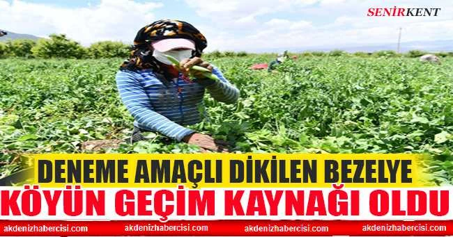 SENİRKENT