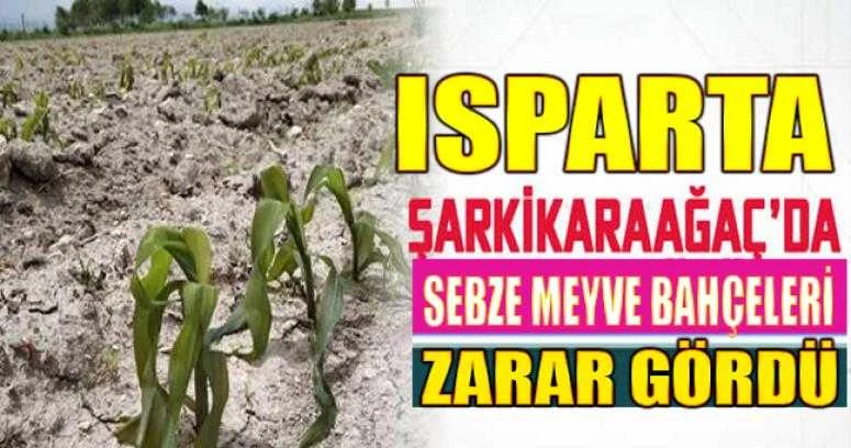 ISPARTA ŞARKİKARAAĞAÇ’DA MEYVE BAHÇELERİ ZARAR GÖRDÜ