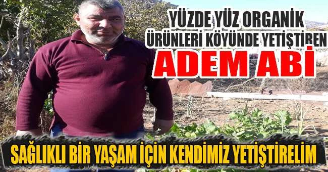 SAĞLIKLI BİR YAŞAM İÇİN HORMONSUZ YETİŞTİRELİM