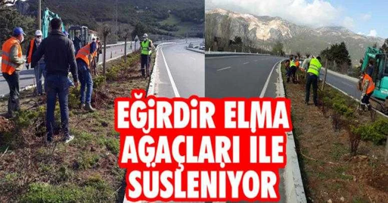 EĞİRDİR ELMA AĞAÇLARI İLE SÜSLENİYOR