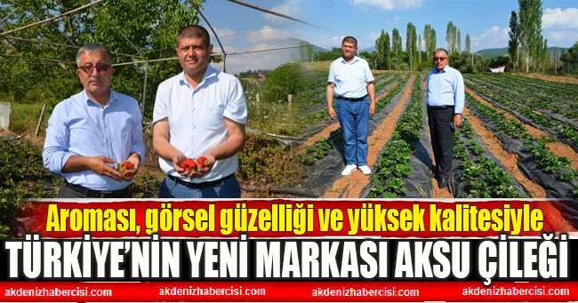 TÜRKİYE’NİN YENİ MARKASI AKSU ÇİLEĞİ